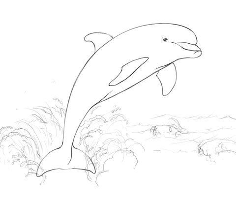 Delfin kolorowanki